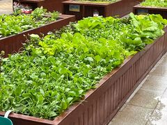 -梧桐人家中国太平国际健康颐养社区