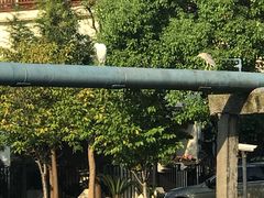 -南汇一王庙道观