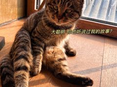 -前叁門