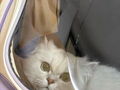 -联合动物医院(光谷诊疗中心)