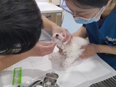 -萌兽医馆·犬猫专科·眼科中心·宠物医院(朝阳门分院)
