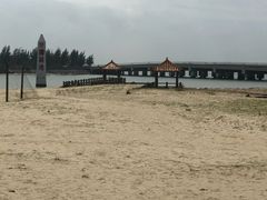 -东郊椰林