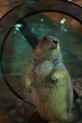 -Zoolung Zoolung动物主题公园(海信广场店)