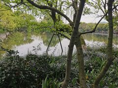 -西湖游船