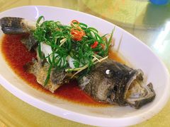 清蒸石斑鱼-板桥海鲜广场(文明东店)
