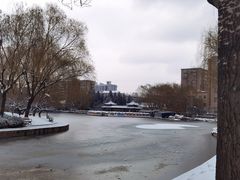 -团结湖公园