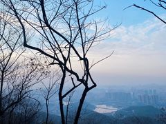 -岳麓山风景名胜区