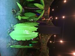 iphone_upload_pic-富华游乐园