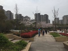-新江湾城公园