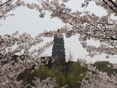 -虎丘山风景名胜区