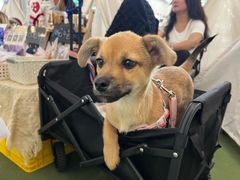 -凯德广场(武胜路店)