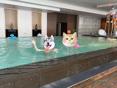 -上海柏悦酒店
