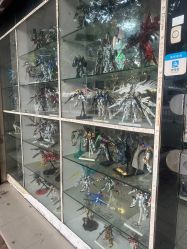 -高达模型专卖店(光明南路店)