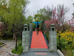 -南汇桃花村