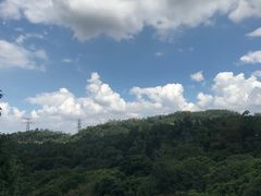 -深圳仙湖植物园