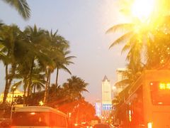 -龙泉海鲜酒楼(龙昆南路店)