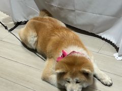 -YCHL Studios健身工作室(市二宫店)