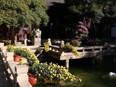 -上海醉白池公园