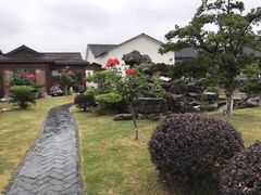 -呼吸森林·生态农庄农家乐私房菜