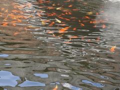 -宝通禅寺