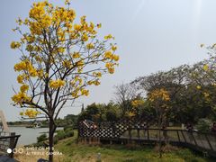 -海珠湖公园