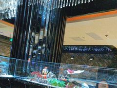 -红辣椒·川菜·火锅(张杨路店)