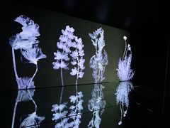 -时代美术馆-成都馆