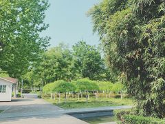 -白塘生态植物园