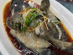 -范饭椰林川湘味海鲜·椰子鸡(三亚湾椰梦长廊店)