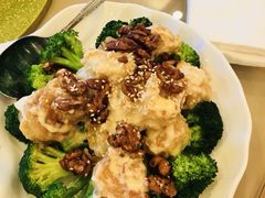-新松记
