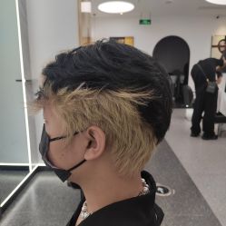-YESIDO椰岛造型