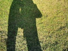 -春花秋色城市公园