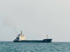 -东郊椰林