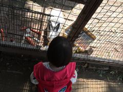 -意大利农场度假村