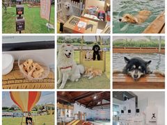 -太阳岛度假酒店