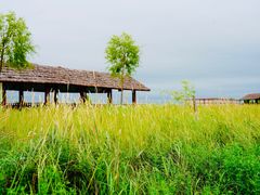 -黑龙江扎龙生态旅游区