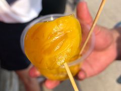 -正宗高流河饭店原创风姜鸡