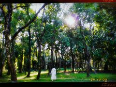 -华南国家植物园-售票处