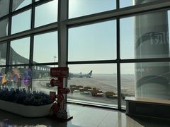 -青岛胶东国际机场