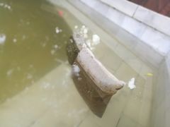 -天目湖涵田半山温泉
