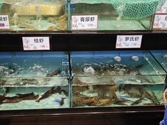 -万山楼海鲜酒家·二十三年老字号