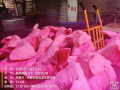 -无锡天鹏食品城