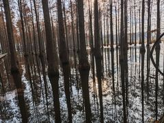 -渌洋湖湿地公园