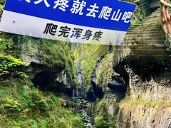 -鹿院坪生态旅游景区