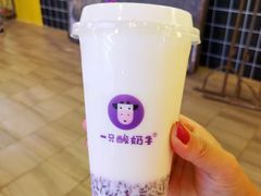-一只酸奶牛(八一路店)