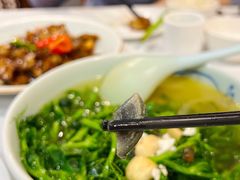 上汤豌豆尖-东兴楼饭庄(六里桥店)