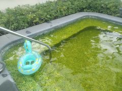 -广州从化都喜泰丽度假酒店温泉