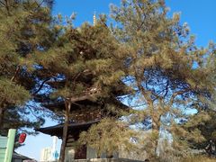 -北京世界公园