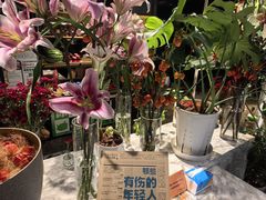 -懒人盐府人家(航天桥店)