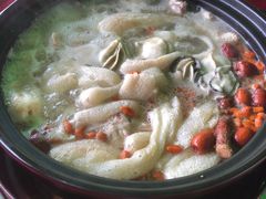 -花苑美食横琴生蚝火锅(拱北粤华路店)